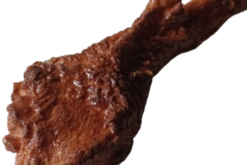 Turkey Leg Small Roasted realistic fake food prop by FakeFood4U