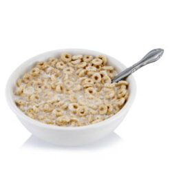 Cereal Bowl Of Cheerios realistic fake food prop by FakeFood4U