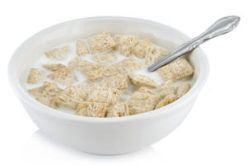 Cereal Shredded Wheat realistic fake food prop by FakeFood4U
