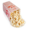 Popcorn Box Spill realistic fake food prop by FakeFood4U