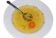 Chicken Noodle Soup realistic fake food prop by FakeFood4U