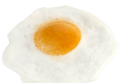 Fried Egg realistic fake food prop by FakeFood4U