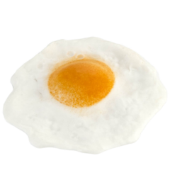 Fried Egg realistic fake food prop by FakeFood4U