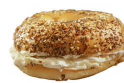 Bagel Everything realistic fake food prop by FakeFood4U