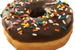 Donut Dipped In Chocolate With Sprinkles realistic fake food prop by FakeFood4U
