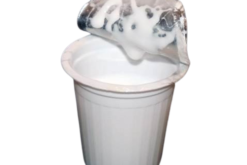 McDonald's Creamer realistic fake food prop by FakeFood4U