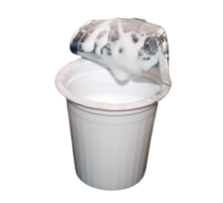 McDonald's Creamer realistic fake food prop by FakeFood4U