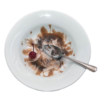 Eaten Hot Fudge Sundae In Bowl realistic fake food prop by FakeFood4U