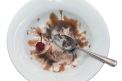 Eaten Hot Fudge Sundae In Bowl realistic fake food prop by FakeFood4U