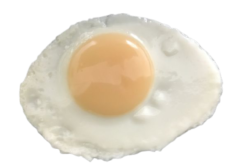 Poached Egg realistic fake food prop by FakeFood4U