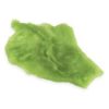 Iceberg lettuce realistic fake food prop by FakeFood4U