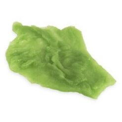 Iceberg lettuce realistic fake food prop by FakeFood4U