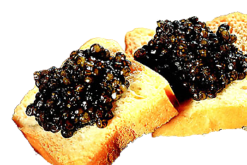 Mini Toasts With Caviar realistic fake food prop by FakeFood4U