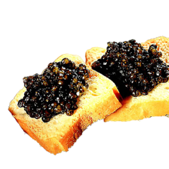 Mini Toasts With Caviar realistic fake food prop by FakeFood4U