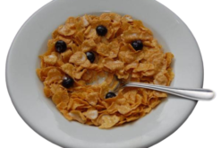 Cornflakes With Milk & Blueberries realistic fake food prop by FakeFood4U
