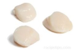 Large Wild Sea Scallops realistic fake food prop by FakeFood4U