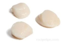Large Wild Sea Scallops realistic fake food prop by FakeFood4U