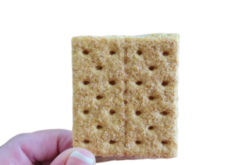 Graham Crackers With Cinnamon Sugar X3 realistic fake food prop by FakeFood4U