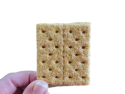 Graham Crackers With Cinnamon Sugar X3 realistic fake food prop by FakeFood4U
