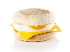 McDonald's Egg McMuffin realistic fake food prop by FakeFood4U