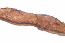 Crispy Bacon realistic fake food prop by FakeFood4U