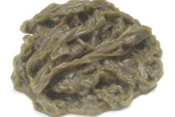 Spinach realistic fake food prop by FakeFood4U