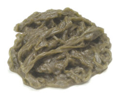 Spinach realistic fake food prop by FakeFood4U