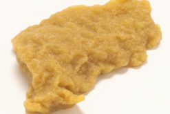 Catfish Fried realistic fake food prop by FakeFood4U