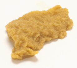 Catfish Fried realistic fake food prop by FakeFood4U