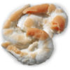 Shrimp realistic fake food prop by FakeFood4U