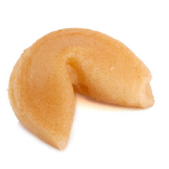 Fortune Cookie realistic fake food prop by FakeFood4U